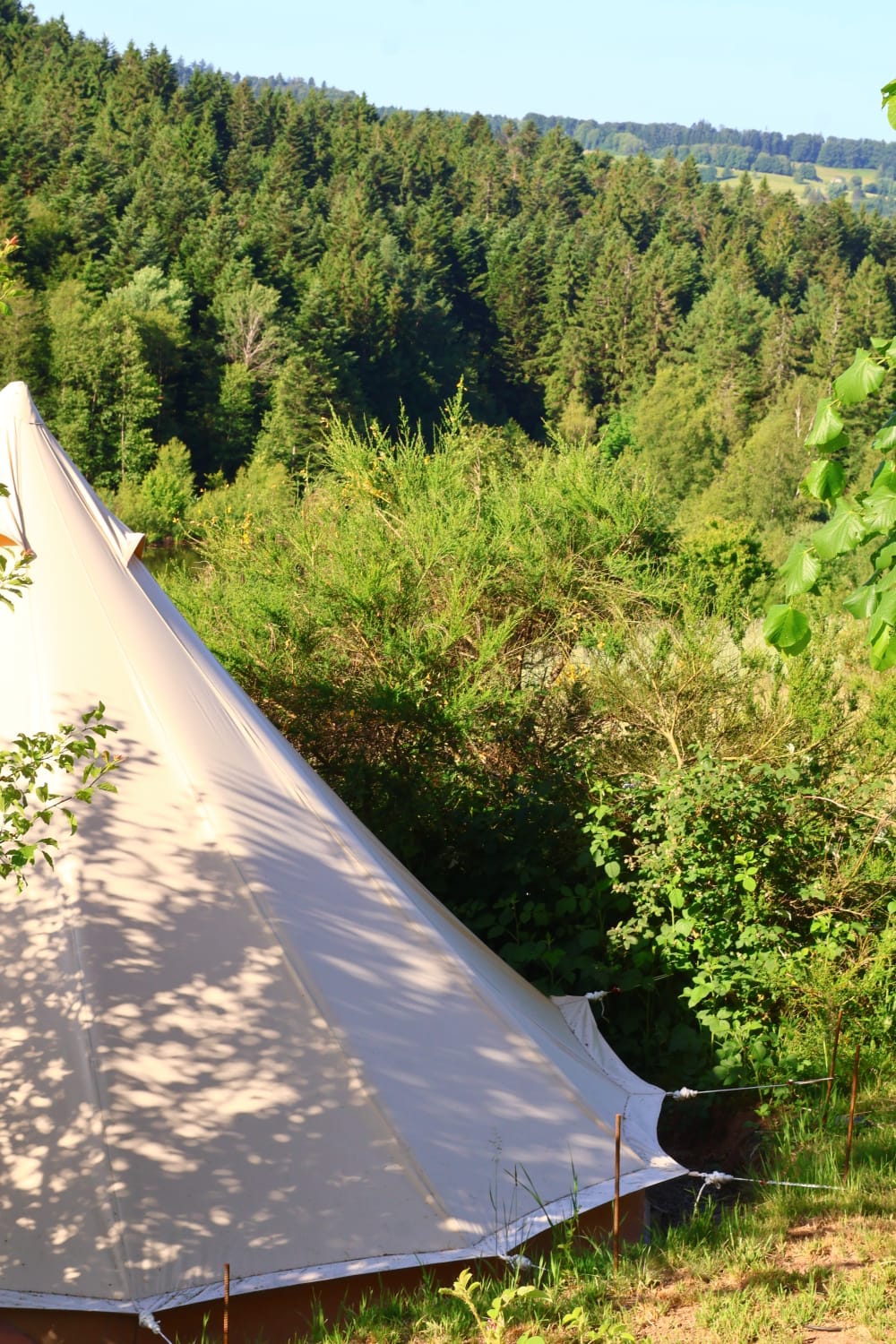 Nature environnante